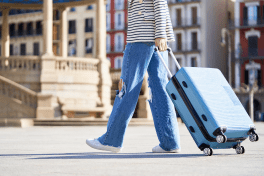 Image of person with luggage